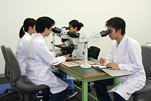 病理組織学的検査