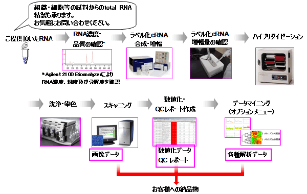 受託解析の流れ