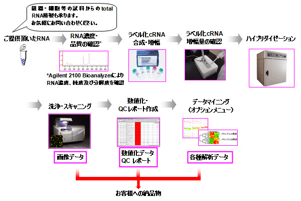 受託解析の流れ