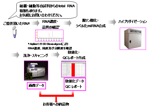 受託解析の流れ