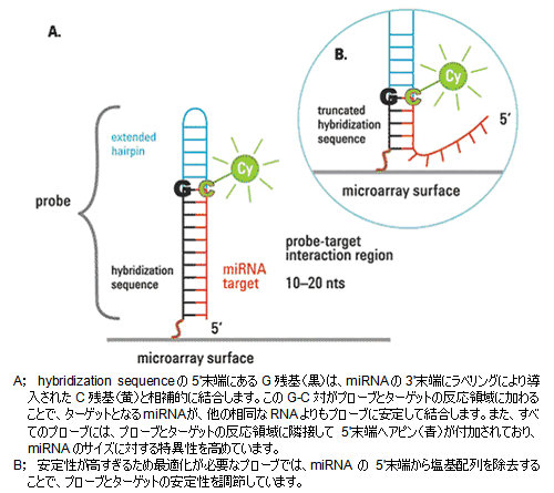 図 miRNAアレイのテクノロジー(Agilent Technologies社のmiRNAテクノロジーより)