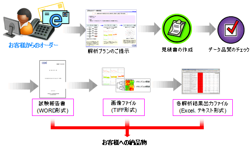 受託解析の流れ