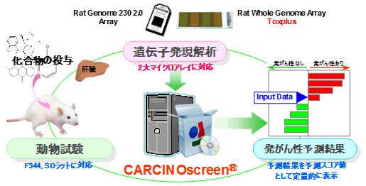 図1 化合物の短期発がん性予測システム;CARCINOscreenの概要