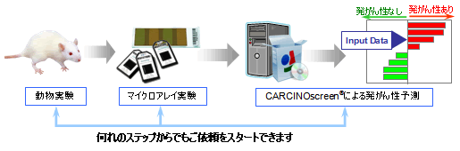 ご依頼ステップ