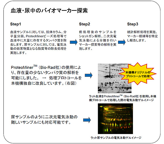 血液・尿中のバイオマーカー探索