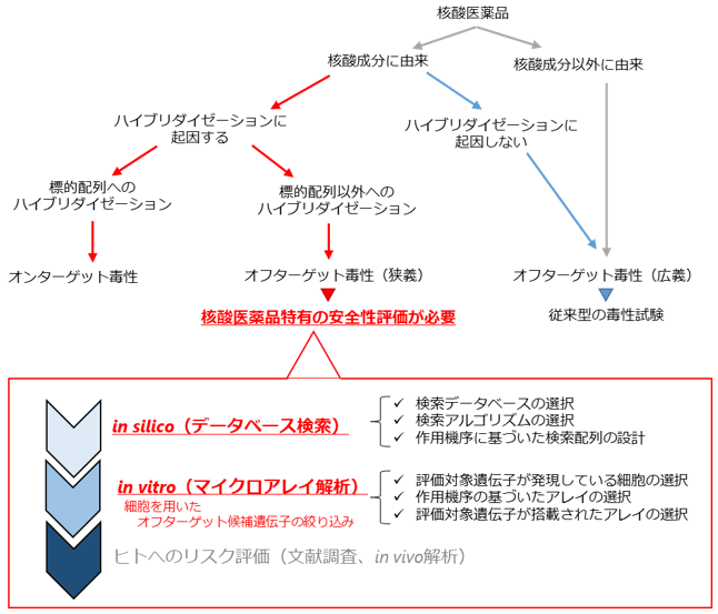 図1 ハイブリダイゼーションに起因するオフターゲット毒性の位置付けとその評価のための基本的な考え方