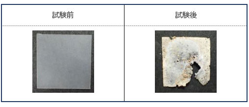 試料外観