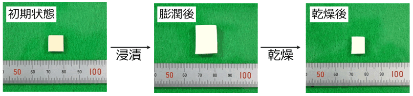 図3.加硫ゴムの膨潤前後及び乾燥後の写真(試験片厚さ2 mm)